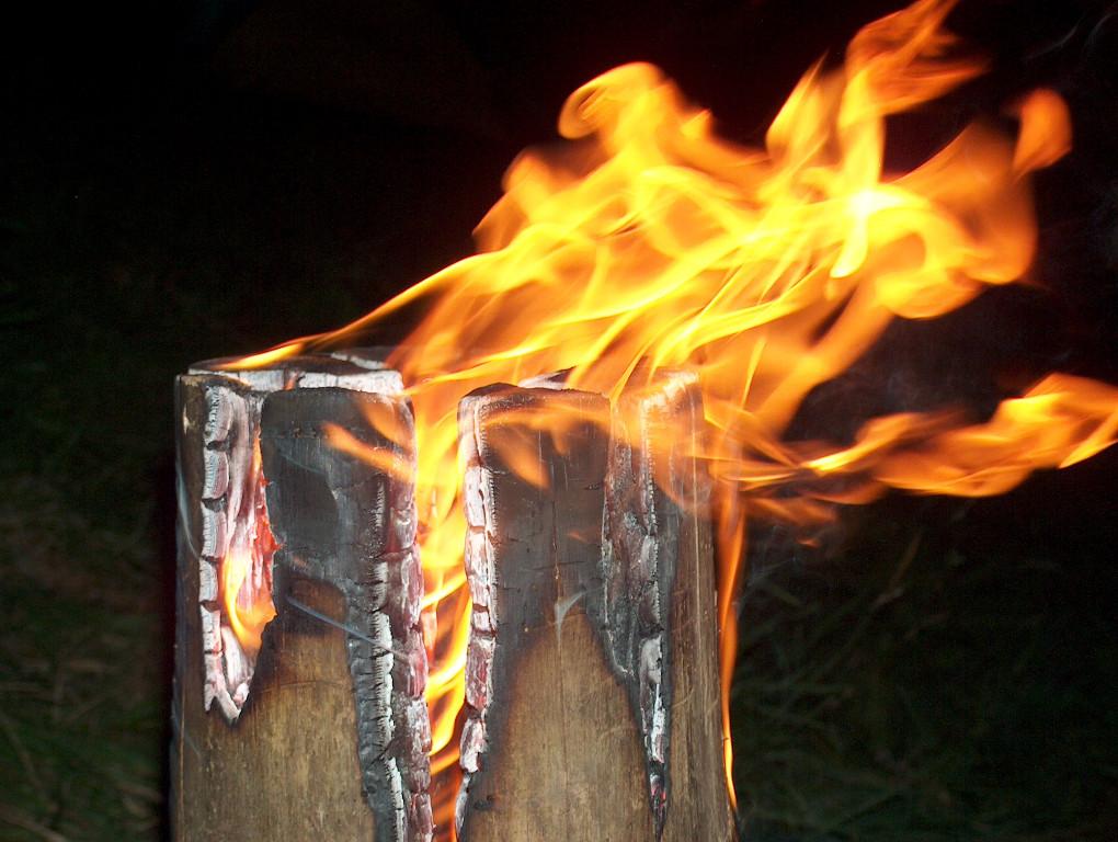 Finnenkerzen in diversen Grössen in Wettingen - Bild 1