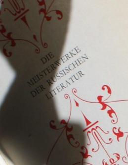 2 Meisterwerke der Russische Literatur in Bremgarten - Bild 2