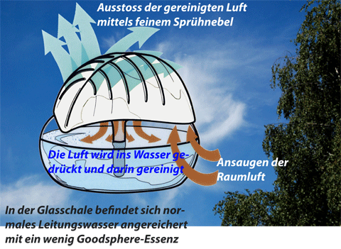 Luftreiniger, Luftbefeuchter, Duftspender, Pollenkiller... in Uzwil - Bild 2