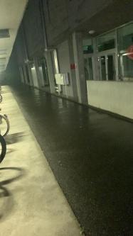 30ig,versauter,wilder und sexsüchtiger mann in Bern - Bild 2
