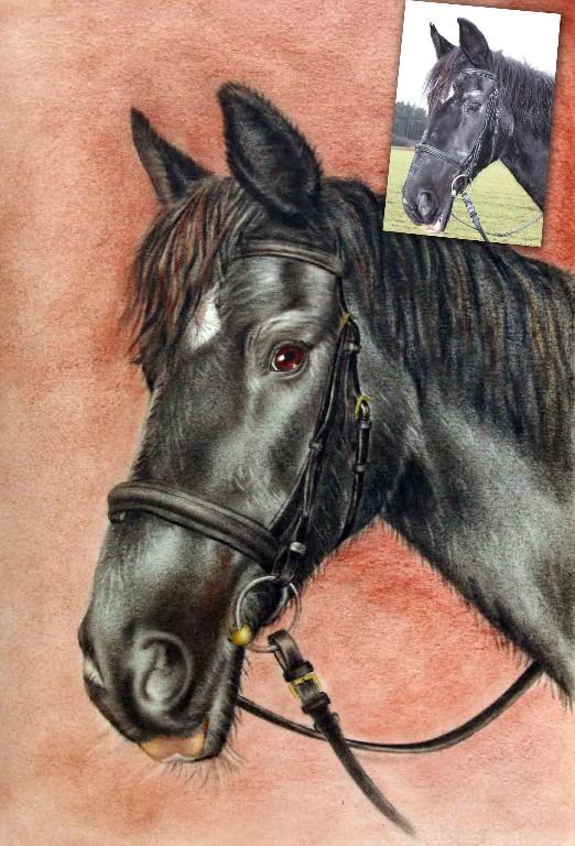 Ihr Portrait gemalt nach Foto/ GESCHENKIDEE Porträt malen lassen in Belp - Bild 10