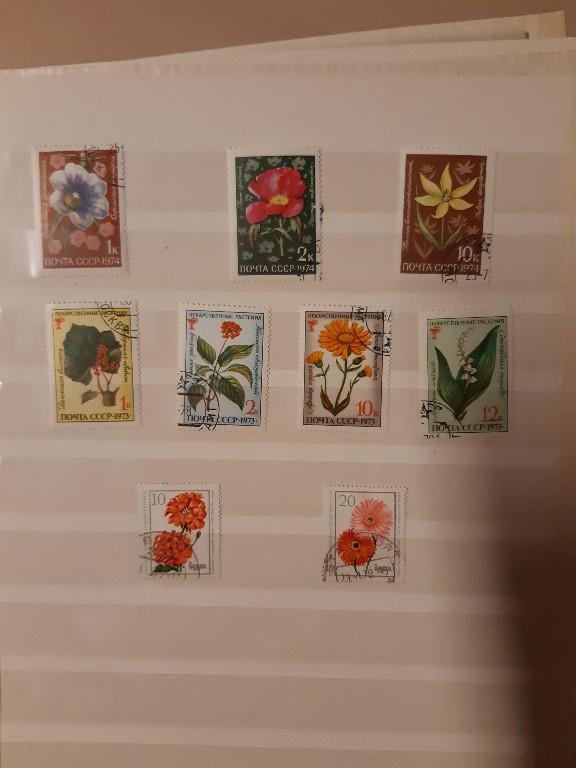 Diverse Briefmarken incl. Album u.a. aus Deutschland, Cuba, in Lenzburg - Bild 6