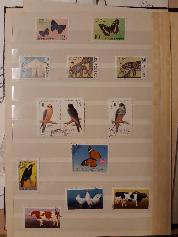 Diverse Briefmarken incl. Album u.a. aus Deutschland, Cuba, in Lenzburg - Bild 8