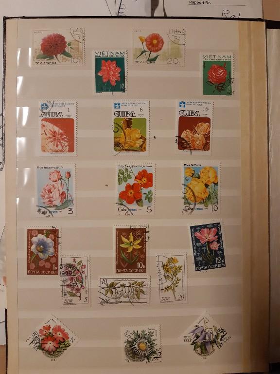 Diverse Briefmarken incl. Album u.a. aus Deutschland, Cuba, in Lenzburg - Bild 12