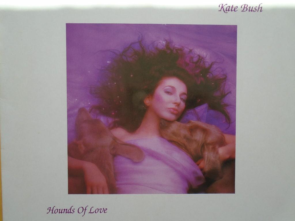 Kate Bush, Vinyl in Köniz - Bild 1