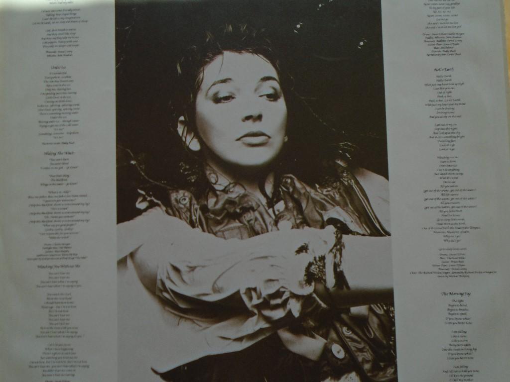Kate Bush, Vinyl in Köniz - Bild 2