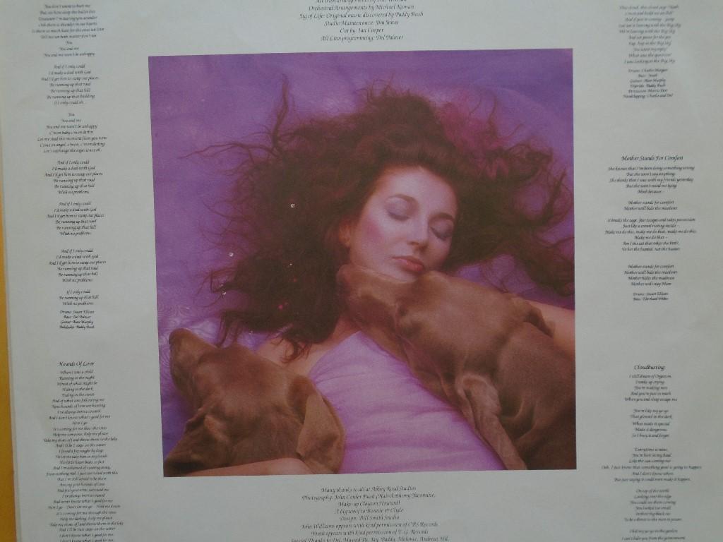 Kate Bush, Vinyl in Köniz - Bild 3