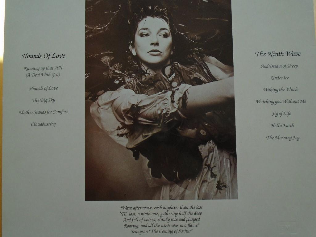 Kate Bush, Vinyl in Köniz - Bild 4