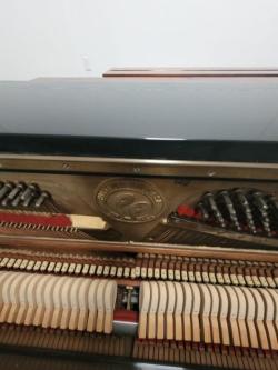 38929 Piano Type Studio FRITZ DOBBERT Brazil.63835217368961121