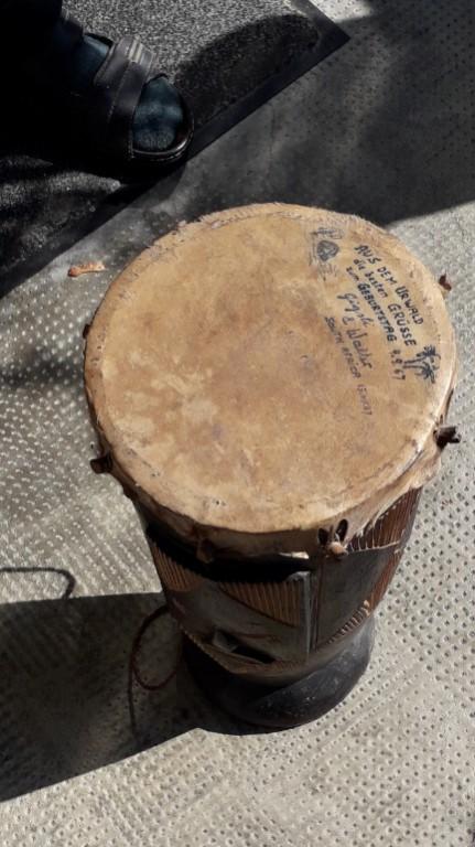 Bongo aus Südafrika in Brig - Bild 1