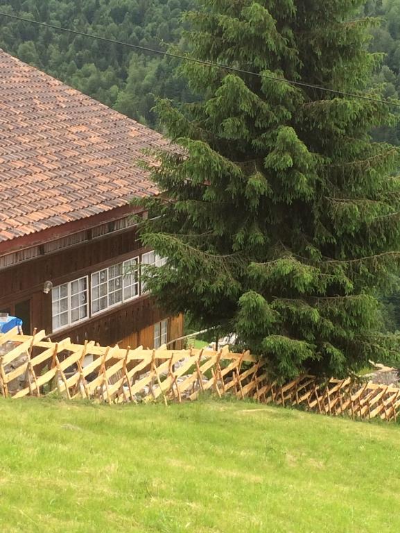 Liebhaber Objekt! Fe-Wohnung in gepflegtem Alphütte Ambiente. in Wohlen - Bild 2