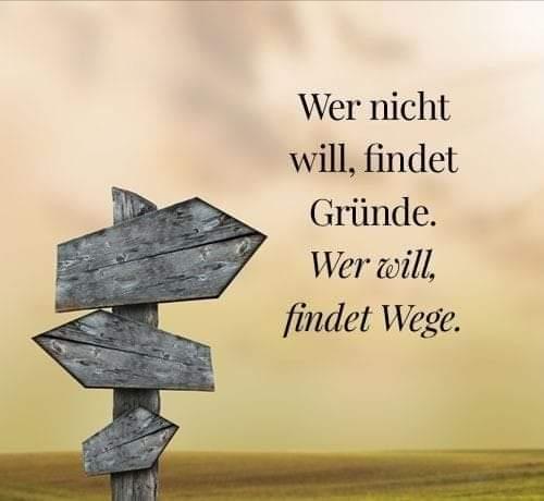 Mediales Coaching in Sursee in Sursee - Bild 6