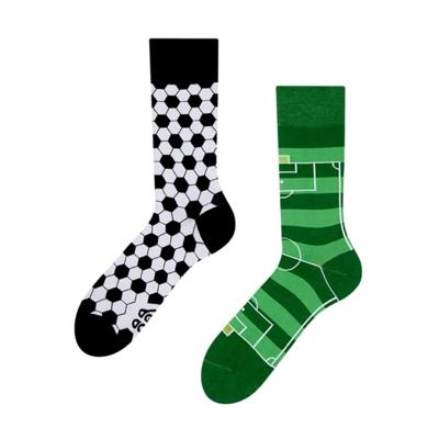 Diese bunten Socken verbreiten gute Laune! in Urdorf - Bild 3