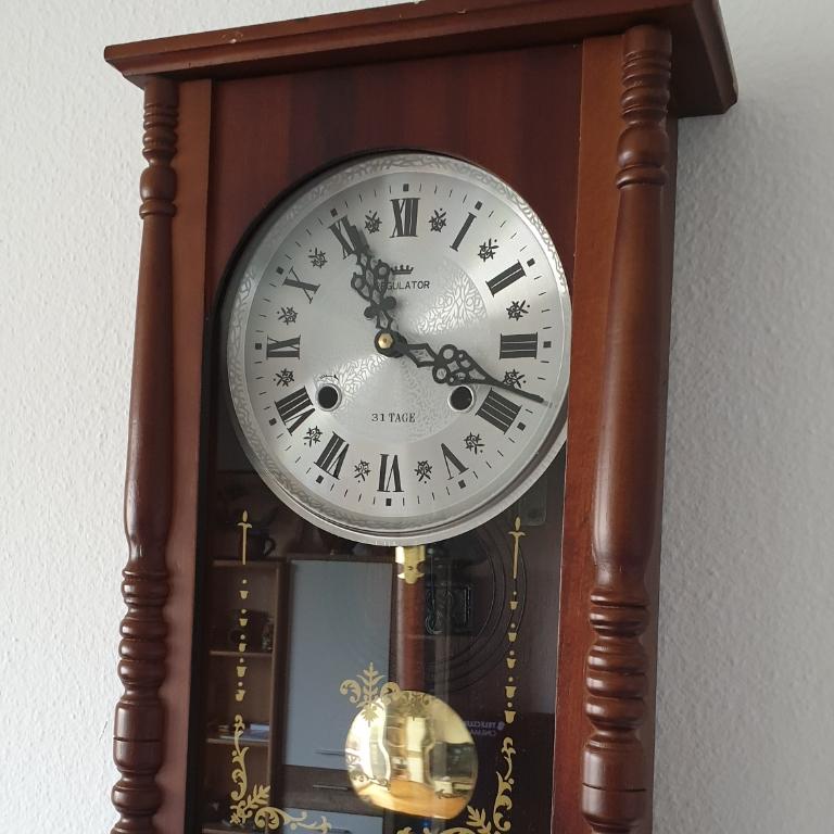 Regulator 31 Tage in Kriens - Bild 2