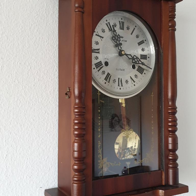 Regulator 31 Tage in Kriens - Bild 3