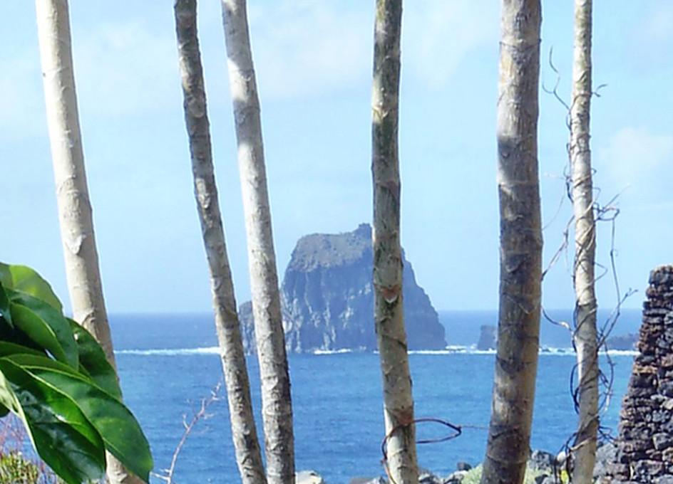 Anwesen mit Pool und Panoramablick auf El Hierro in Willisau - Bild 1