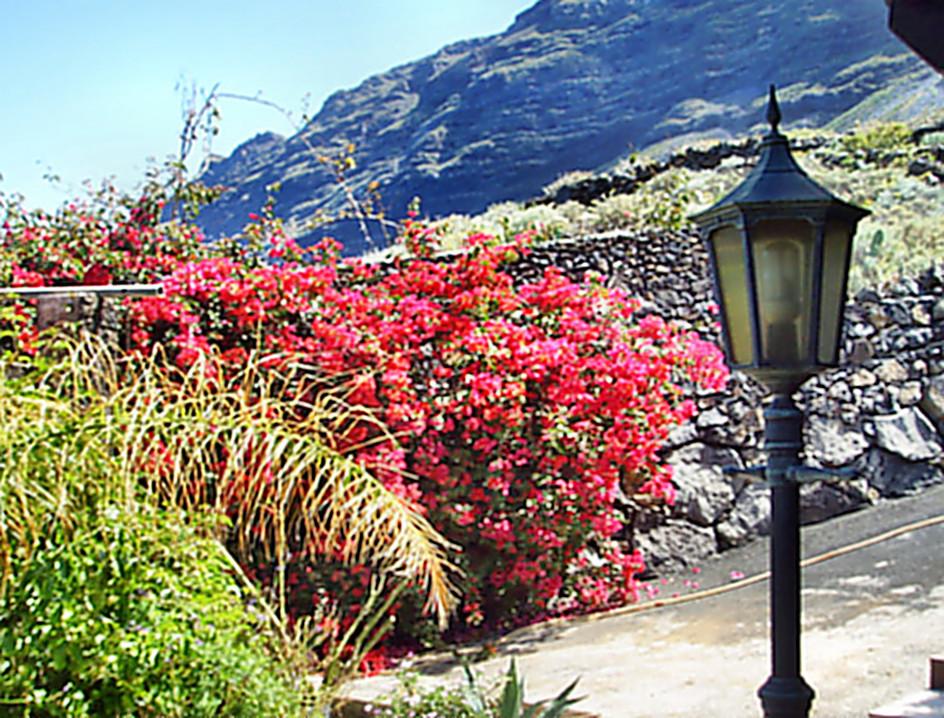 Anwesen mit Pool und Panoramablick auf El Hierro in Willisau - Bild 4