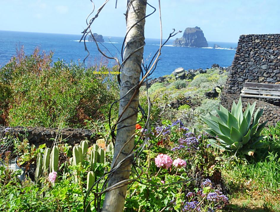 Anwesen mit Pool und Panoramablick auf El Hierro in Willisau - Bild 6