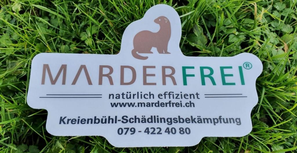 Schädlingsbekämpfung - Geruchsbeseitigung - Schimmelbekämpfung. in Flawil - Bild 4
