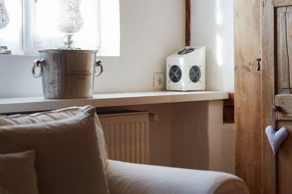 Schimmel und Schimmelpilz in der Wohnung, kein Problem. in Appenzell - Bild 3