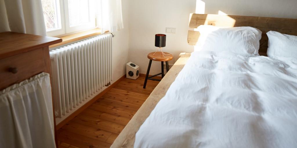 Schimmel und Schimmelpilz in der Wohnung, kein Problem. in Appenzell - Bild 4