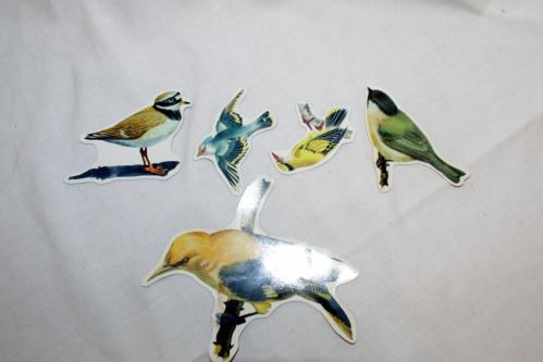 5 Magnet Vögel für Kühlschrank,etc in Bremgarten - Bild 1