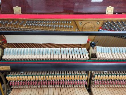 50030534 KRANICH & BACH, Studio. 5-Year Warranty63835216135299122