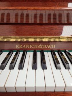 50030534 KRANICH & BACH, Studio. 5-Year Warranty63835216135299121