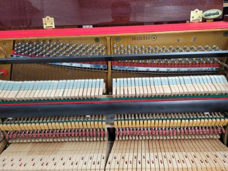 50030534 KRANICH & BACH, Studio. 5-Year Warranty63835216135299123