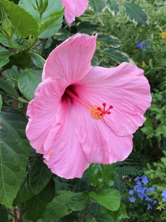 Klassische und Wellness-Massagen in Münchenstein - Bild 2