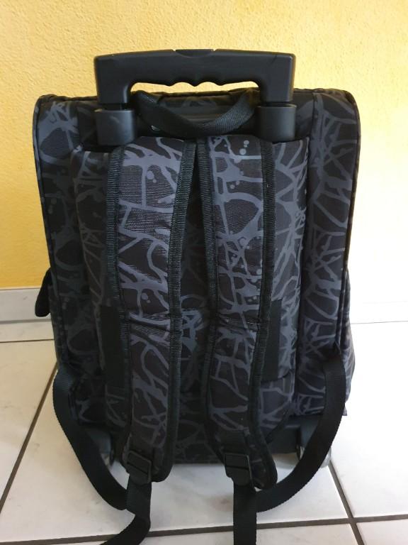 Tiertrolley beladtbar bis 15 kg in Reinach - Bild 1