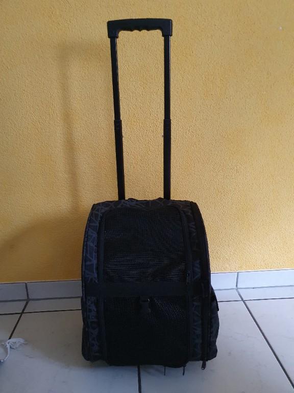 Tiertrolley beladtbar bis 15 kg in Reinach - Bild 7