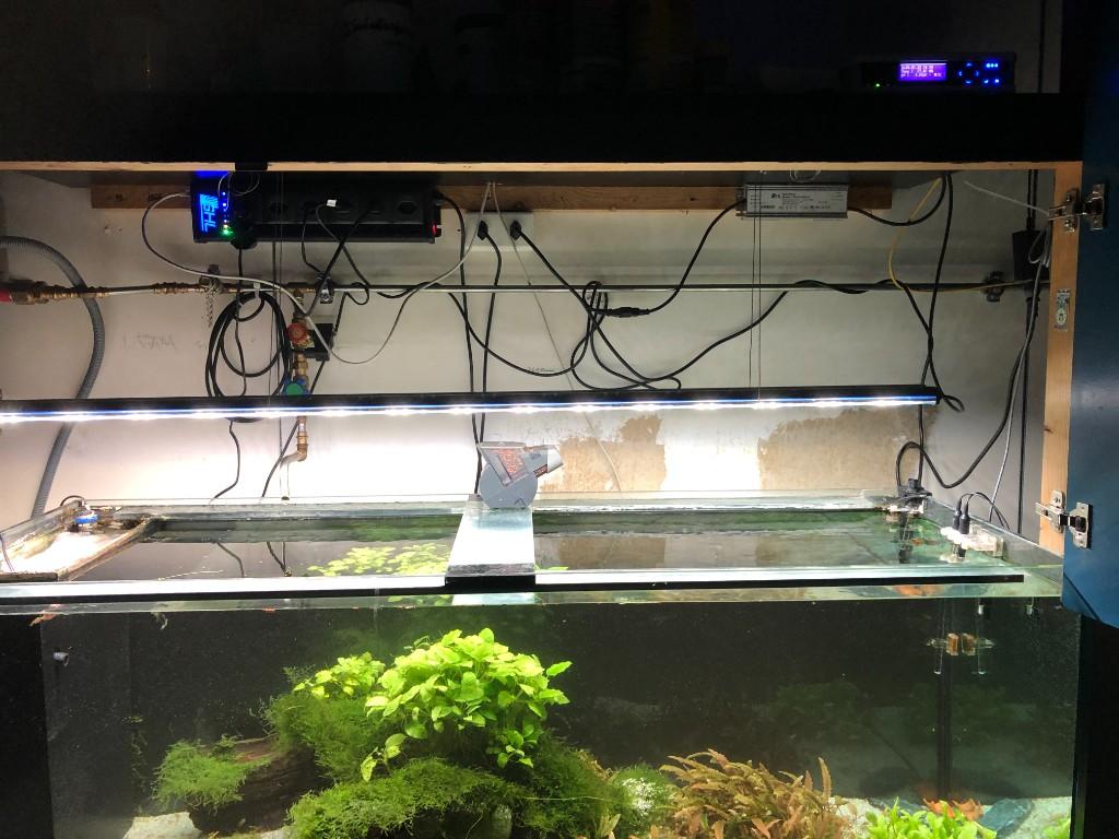 Aquarium 1m 60 in Urdorf - Bild 3