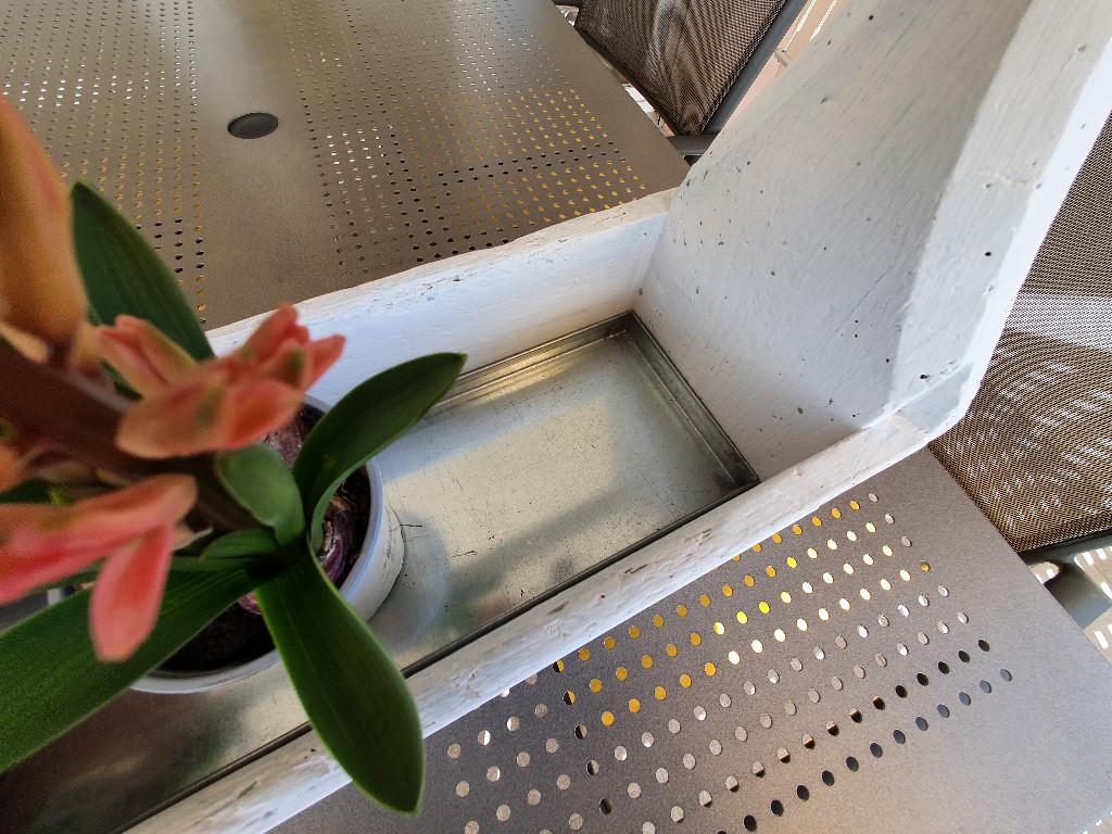 Blumenkistli in Köniz - Bild 3