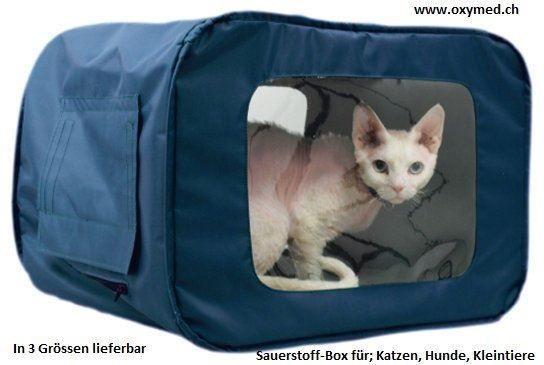 Sauerstoffbox - Sauerstoffzelt für Tiere in Locarno - Bild 1