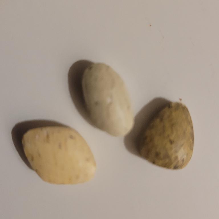 Vitamine und Mineralien alles biologisch in Rorschach - Bild 1