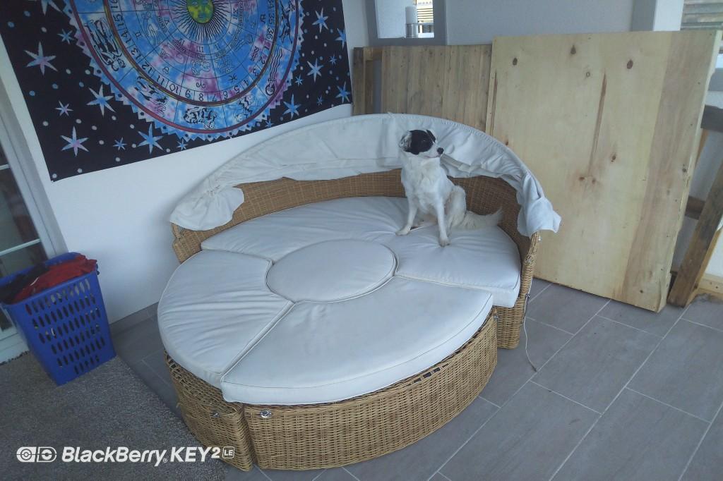 Rattaninsel CARPI beige für Garten, Balkon, Terasse oder drinnen in Thun - Bild 4