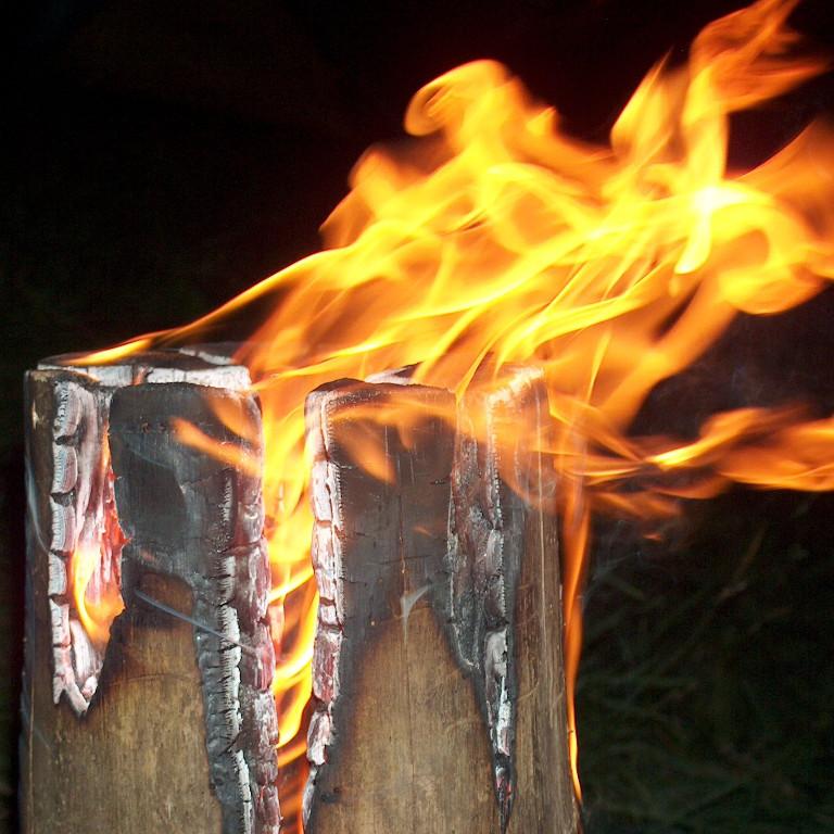Finnenkerzen in Wettingen - Bild 2