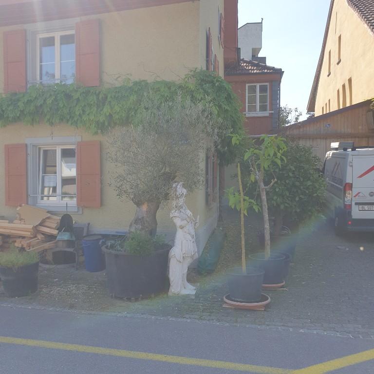Altbauwohnung in Oberwil - Bild 1