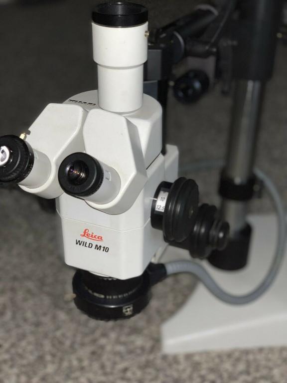 Leica Fototubus Stereo Microscope in Urdorf - Bild 1