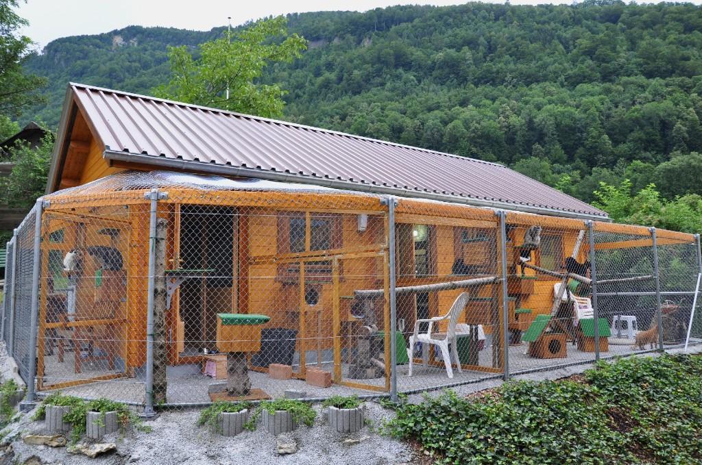 Katzenpension Katzenhotel in Unterägeri - Bild 5