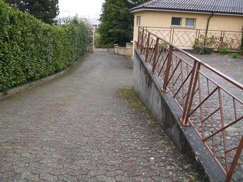 Dach .Terrassen .Fassadenreinigung Von Moss in Uetikon - Bild 1