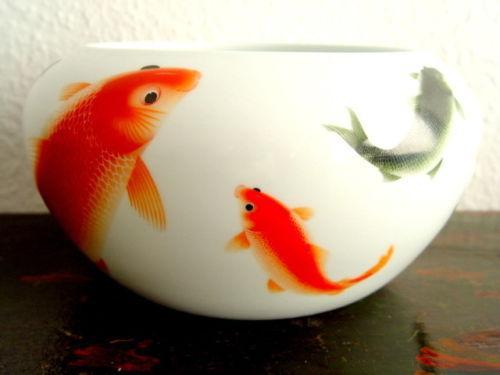 China grosse Goldfischschale aus feinem weissen Porzellan in Appenzell - Bild 1