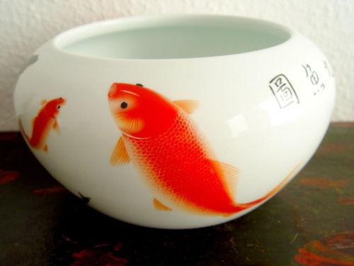 China grosse Goldfischschale aus feinem weissen Porzellan in Appenzell - Bild 3
