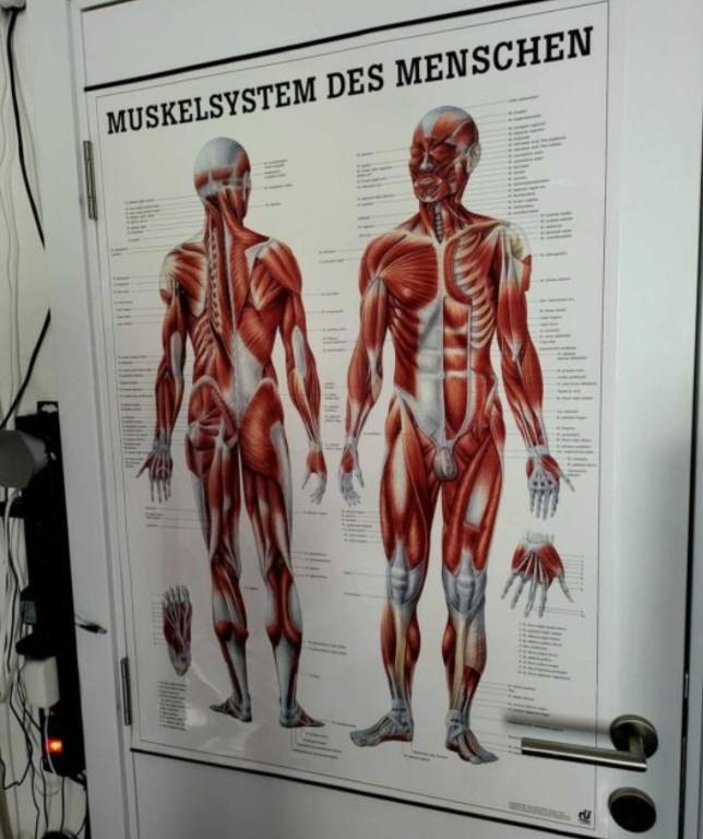Sportmassage in Büsserach in Oberwil - Bild 4