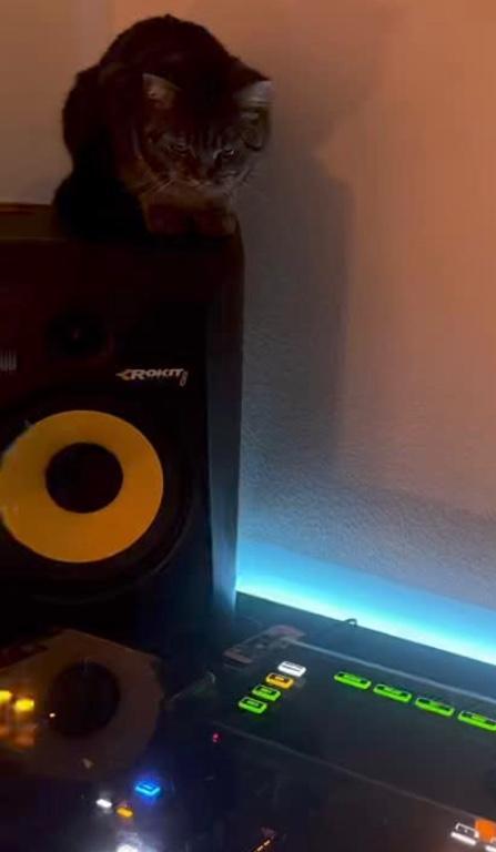 KrK rokit 8 G3 Studio Lautsprecher zu verkaufen in Frauenfeld - Bild 1
