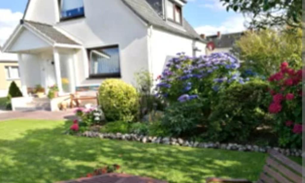 Garten Arbeiten, Hecke schneiden, Rasen mähen, Wischen, etc. in Stäfa - Bild 1