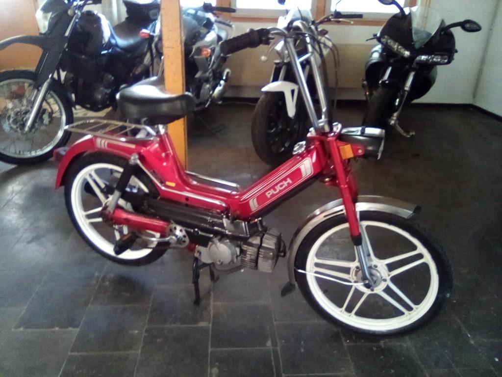 Puch Maxi Mofa 50.. OK ab 14 j. in Worb - Bild 1