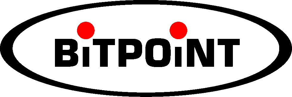 BitPoint bietet Ihnen preiswertes Webhosting für Ihre Webseite in Wohlen - Bild 1