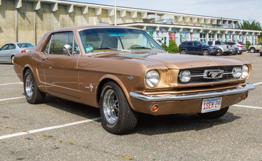 Mustang aus USA in Münchenstein - Bild 1